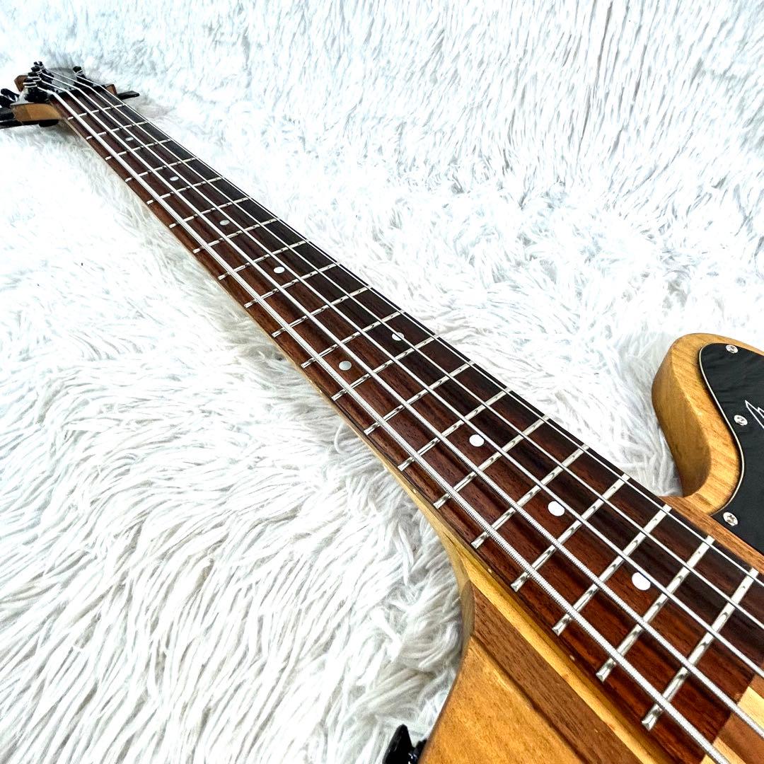 【激レア】Epiphone Thunder Bird Pro 5弦 アクティブ