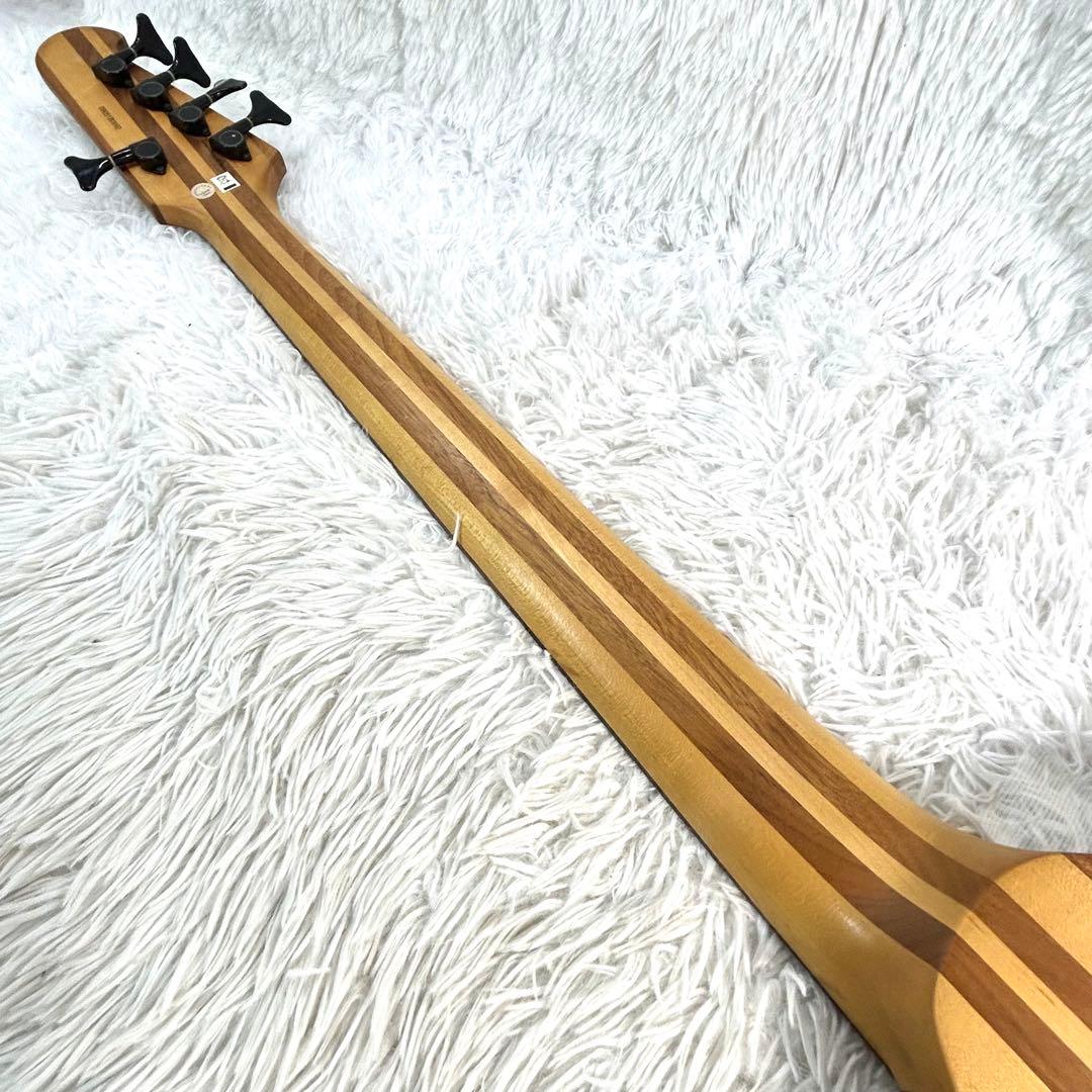 【激レア】Epiphone Thunder Bird Pro 5弦 アクティブ