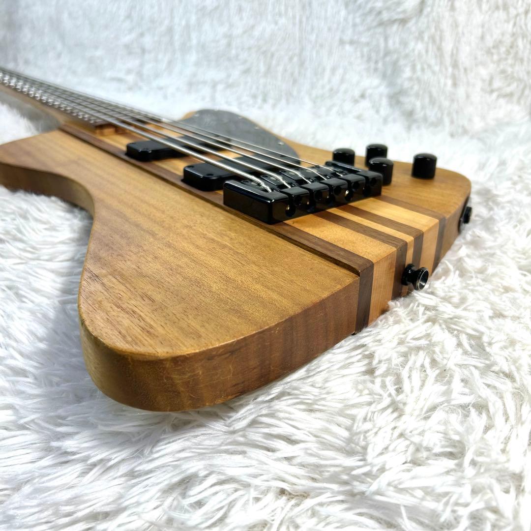 【激レア】Epiphone Thunder Bird Pro 5弦 アクティブ