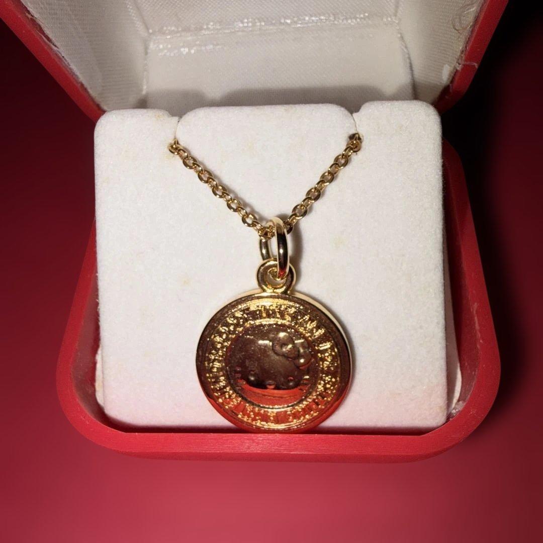 【超激レア・レトロ】SANRIO ハローキティ メダル ネックレス