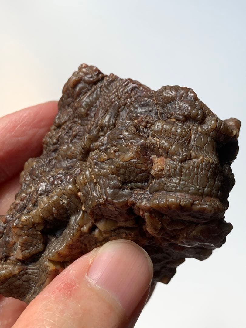 アラシャンゴビアゲート　蒙古瑪瑙　水石　翡翠　オパール　根付　天珠　化石　隕石