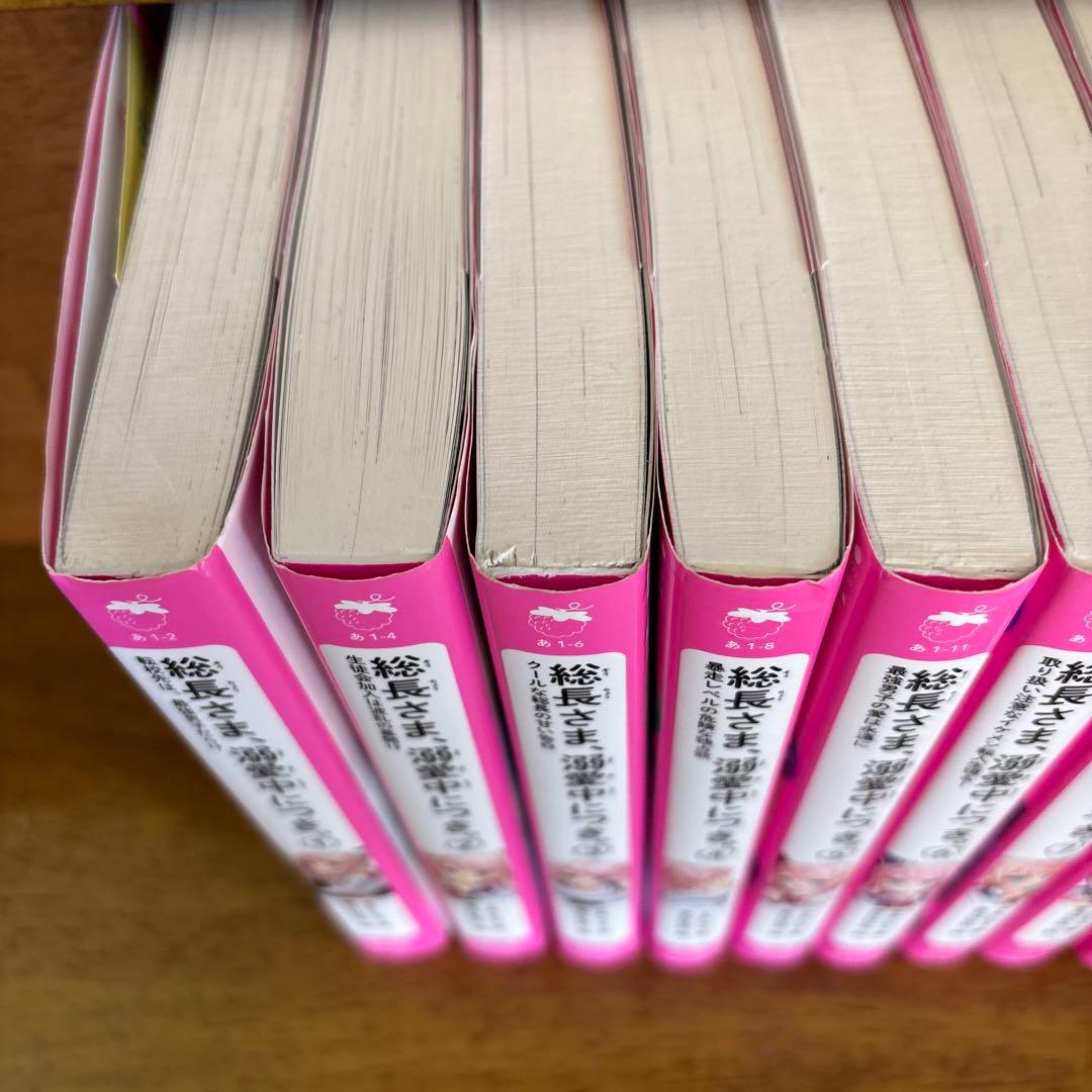 総長さま、溺愛中につき。　17冊セット