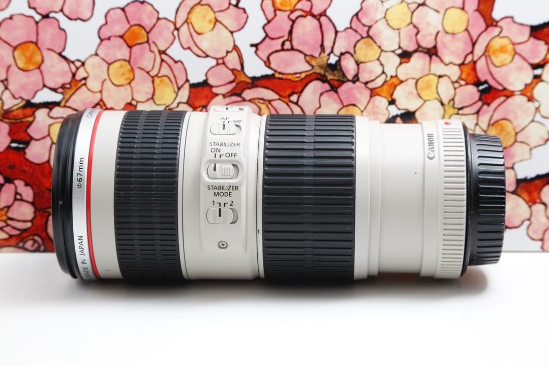 ❤️憧れの白レンズ❤️キヤノン EF 70-200mm f4L IS USM❤️