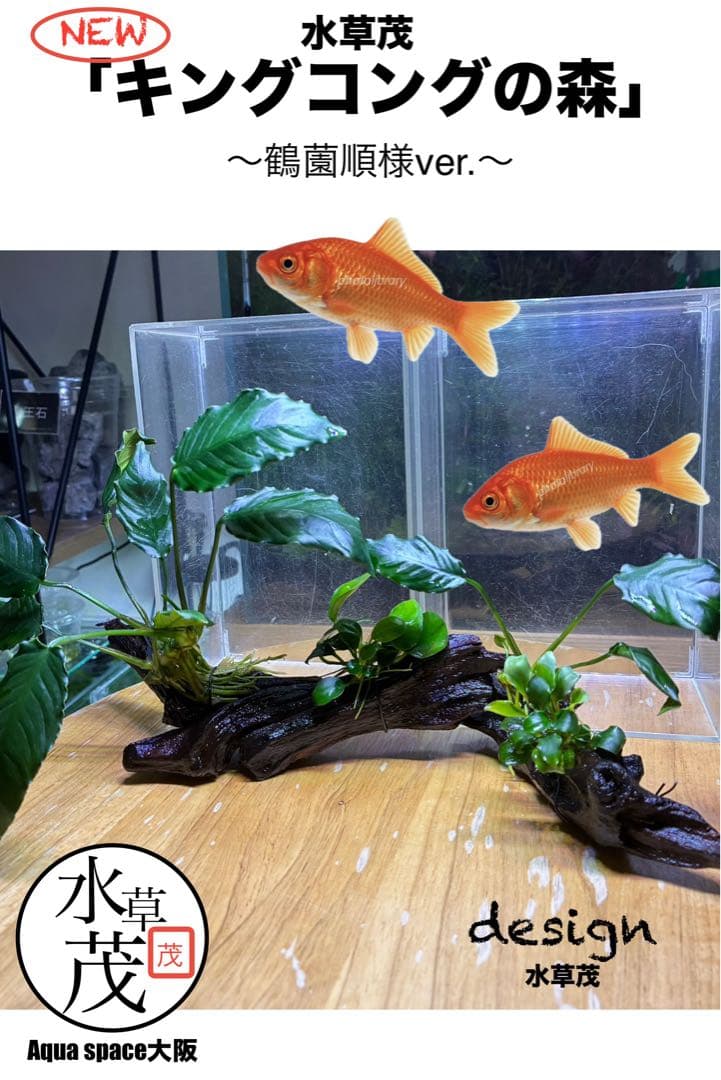 水草茂「鶴薗順様オーダー用」