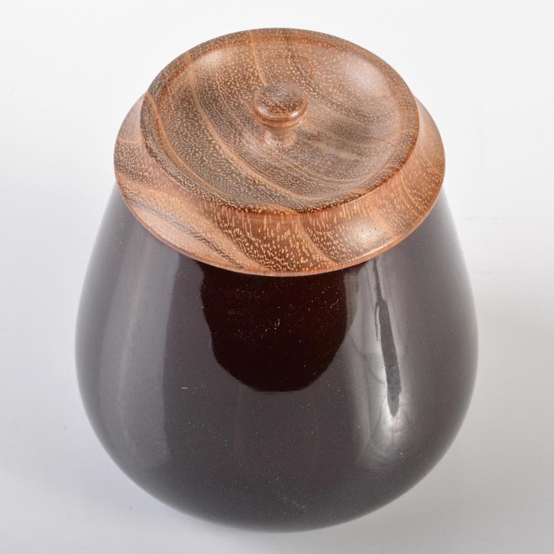 茶道具　山中塗　筑城筑良造　螺鈿装飾　虫絵　茄子茶器　共箱　V　R6405