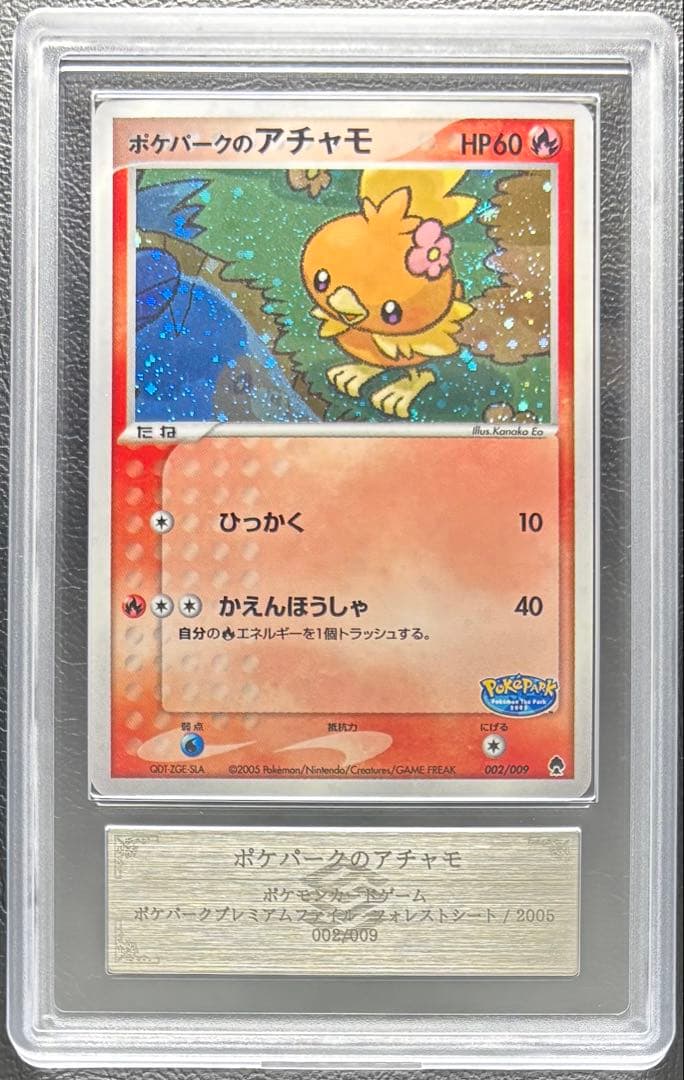 【ARS9】ポケパークのアチャモ 002/009