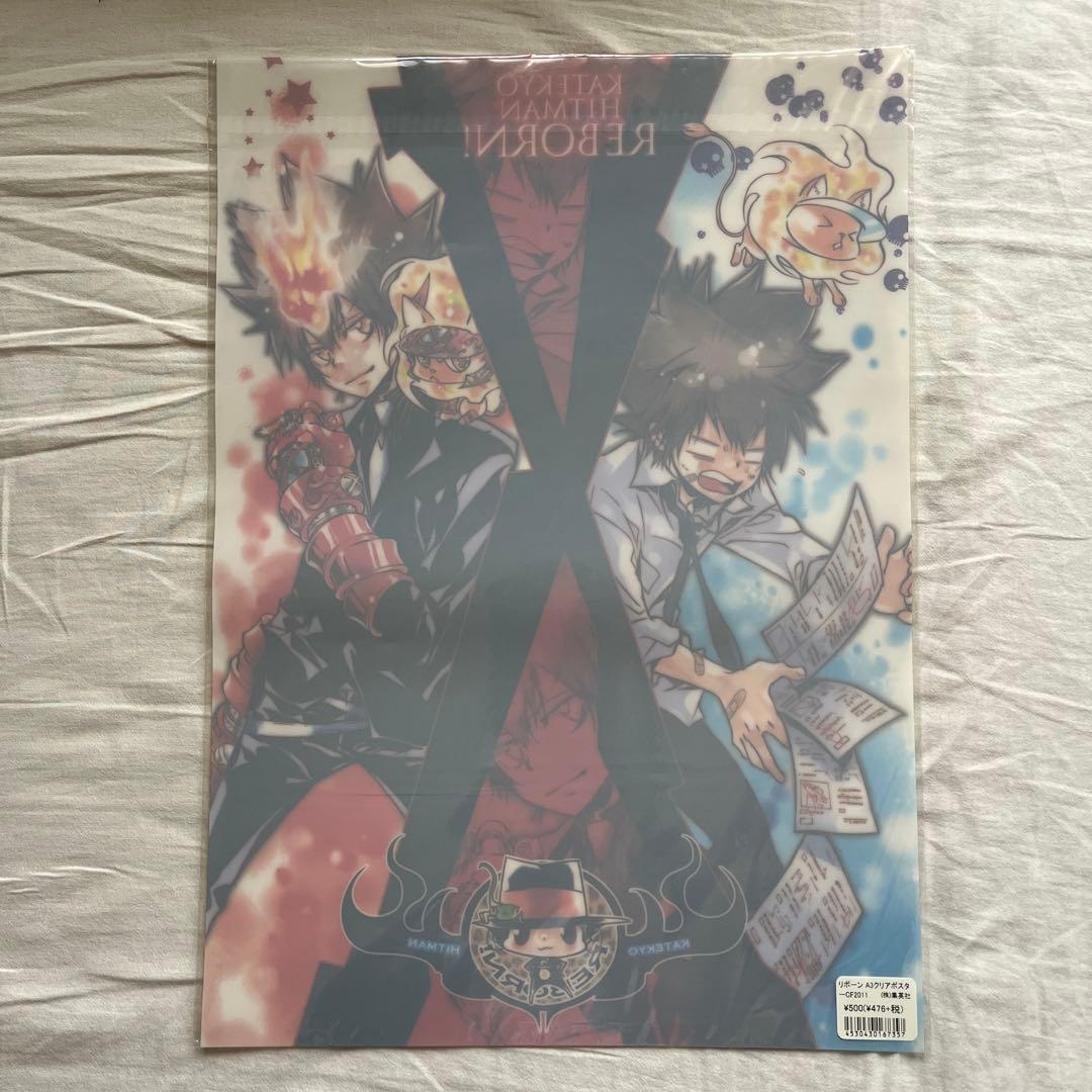 家庭教師ヒットマンREBORN!　沢田綱吉　ツナ　クリアポスター　原作絵