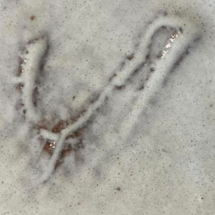 十三代 三輪休雪 (三輪和彦) 花冠 茶道具 保証品