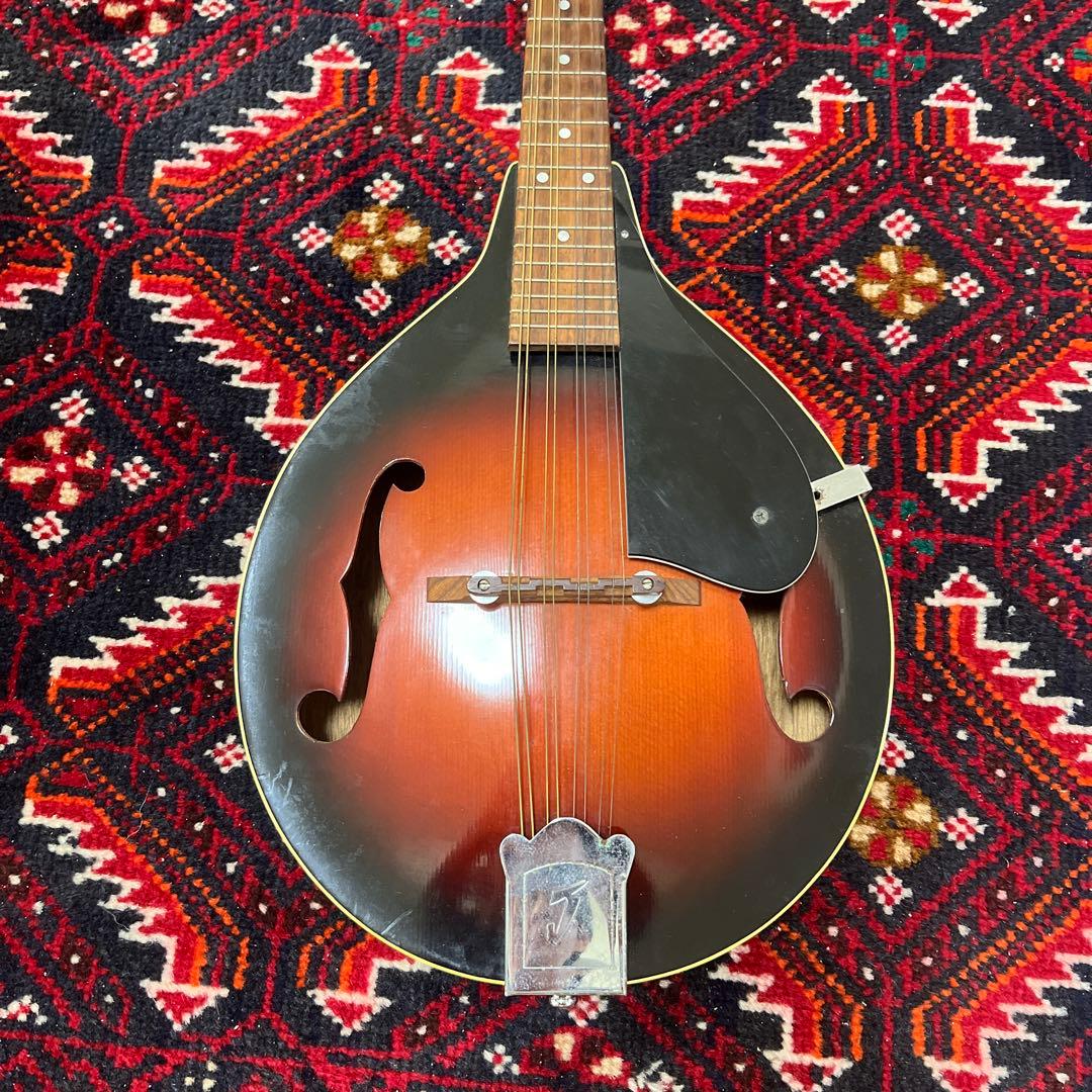 JUMBO 田原楽器　フラットマンドリン