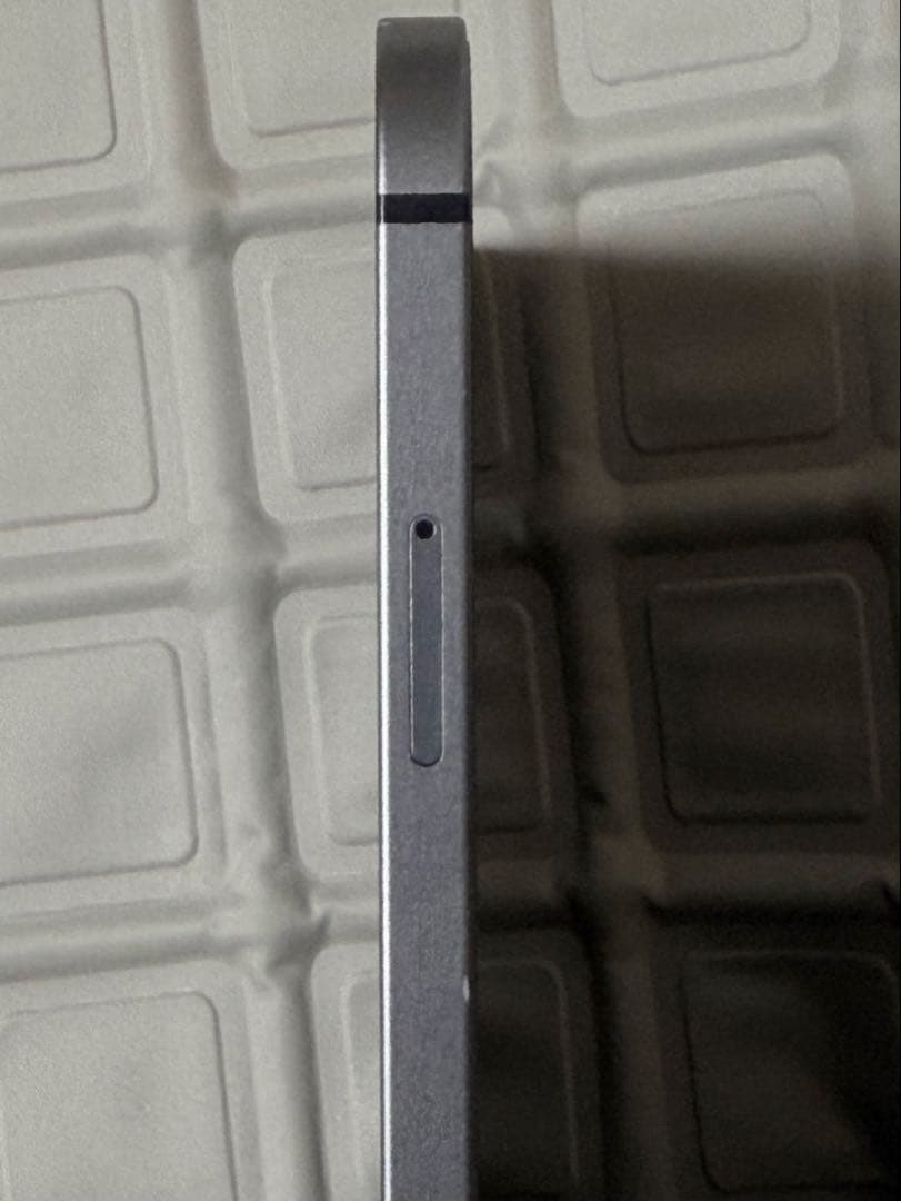 第3世代 iPad Pro 12.9 Wi-Fi+Cellular 1TB