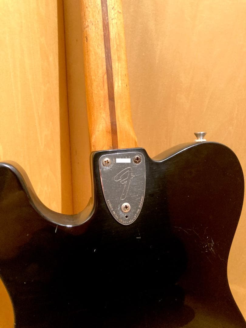 Fender USA Telecaster Thinline 1972 リフ物