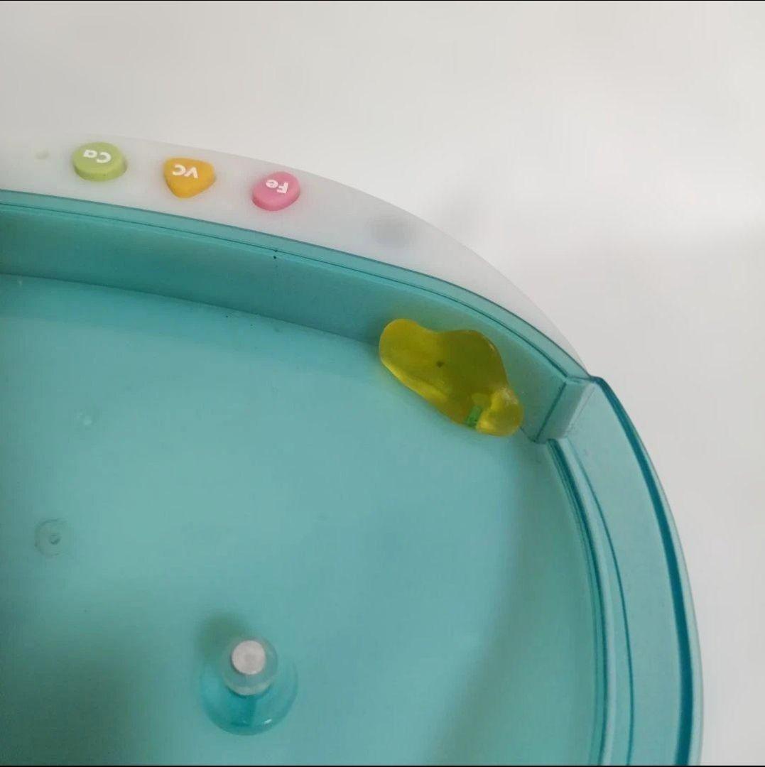 美品 ウォータールーパームツ TOMY トミー