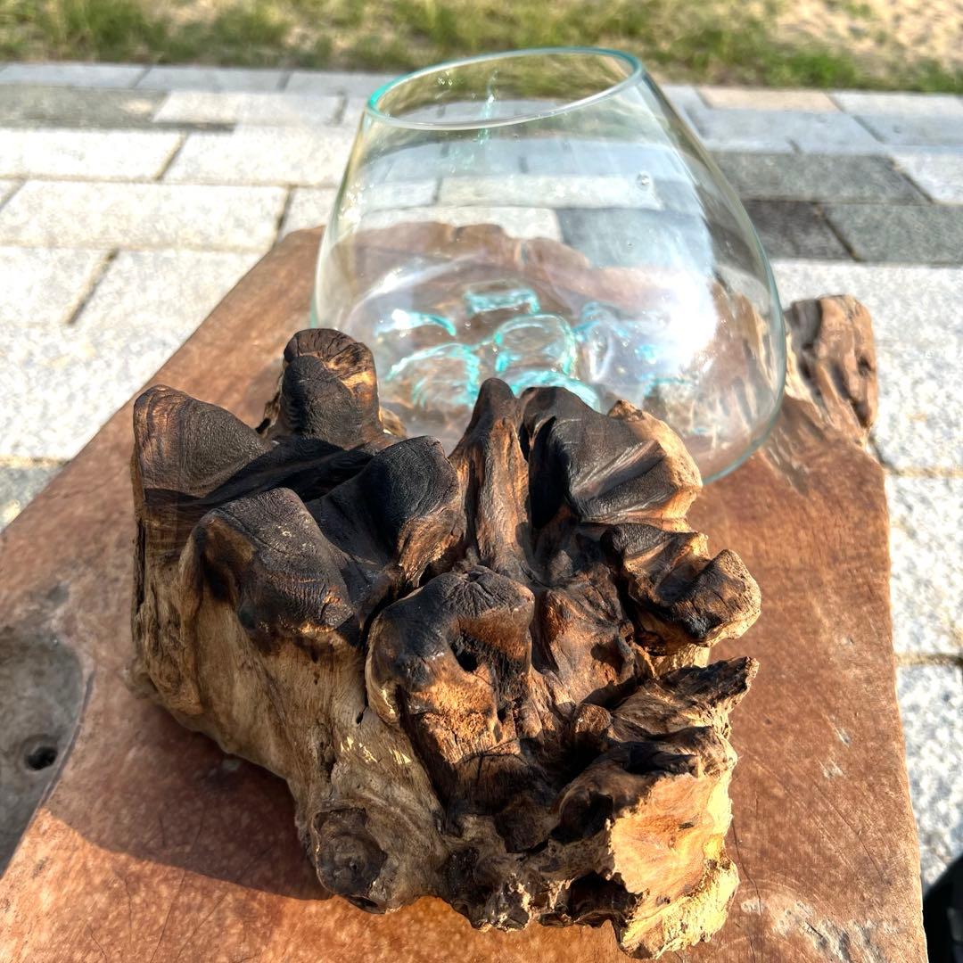 流木ガラスオブジェ特大F 花瓶 金魚鉢 テラリウム フラワーポット 水槽 アート
