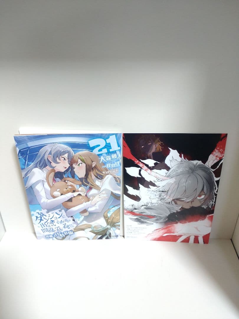 ダンジョンに出会いを求めるのは間違っているだろうか シリーズ 全巻初版 特装版付