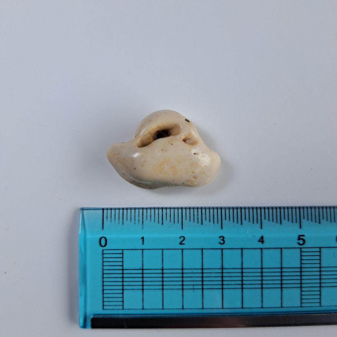 イルカの耳骨【大きさ2.7㎝⑤】