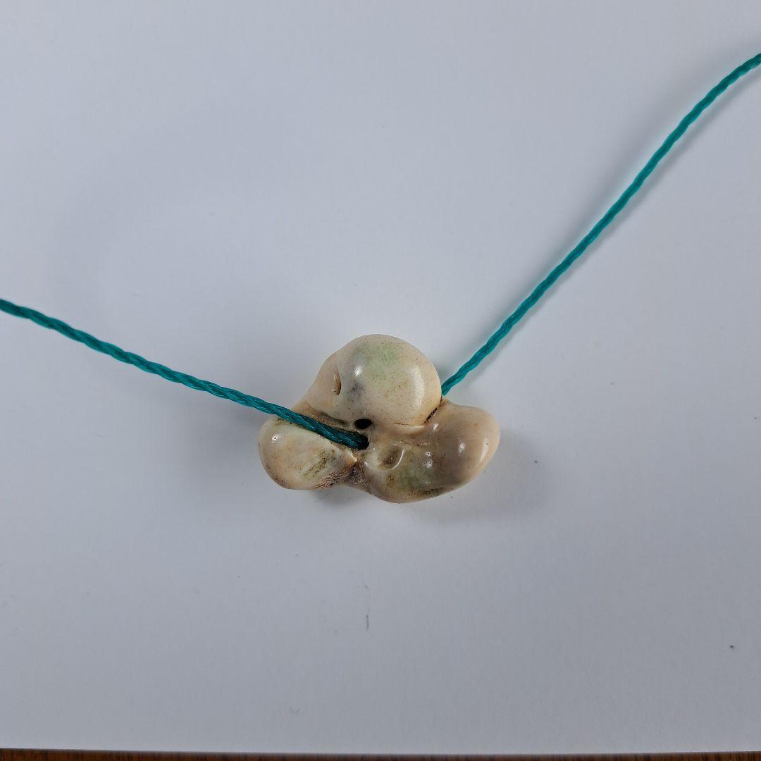 イルカの耳骨【大きさ2.7㎝⑤】