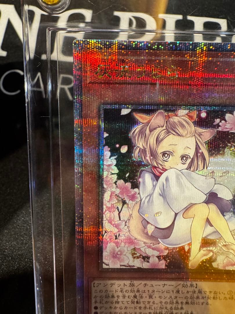 灰流うらら 絵違い 25thクオシク スクリューダウン付き