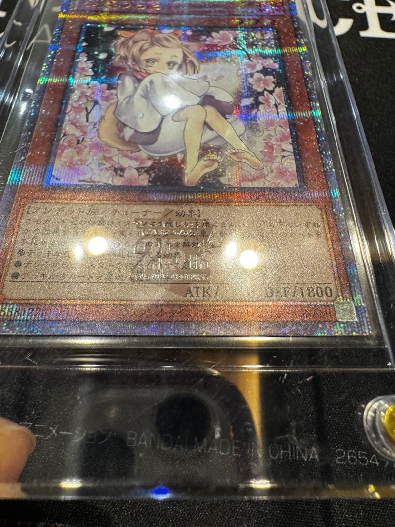 灰流うらら 絵違い 25thクオシク スクリューダウン付き