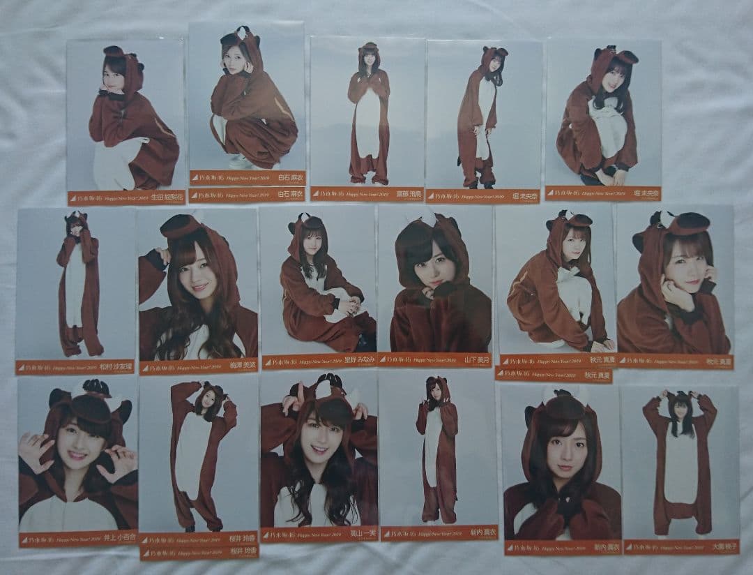 乃木坂46 生写真 
干支(2019 亥 イノシシ)
