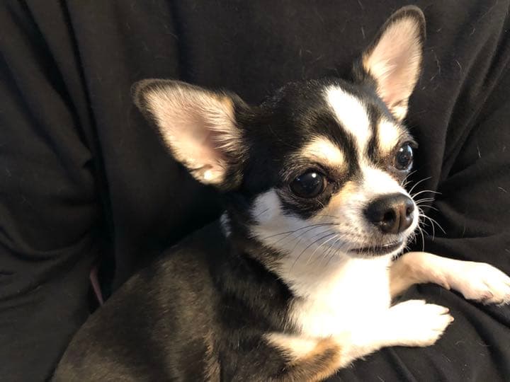 ご連絡専用ページ