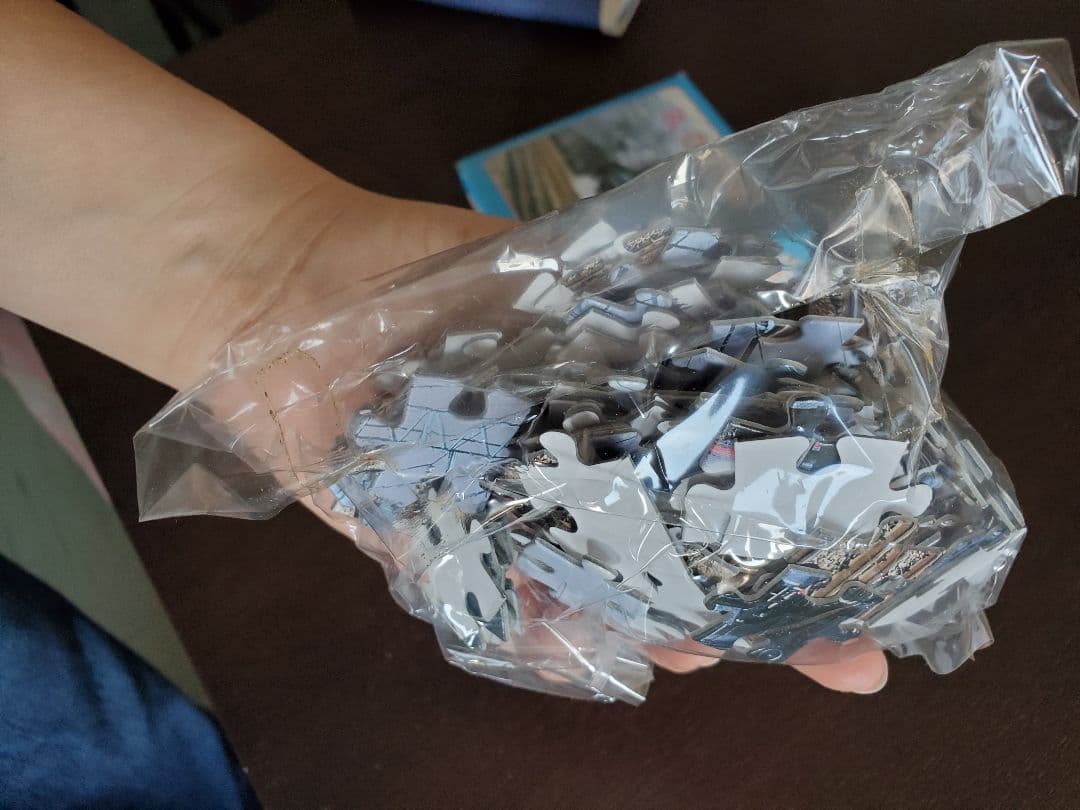 SL D51 ジグソーパズル パズル