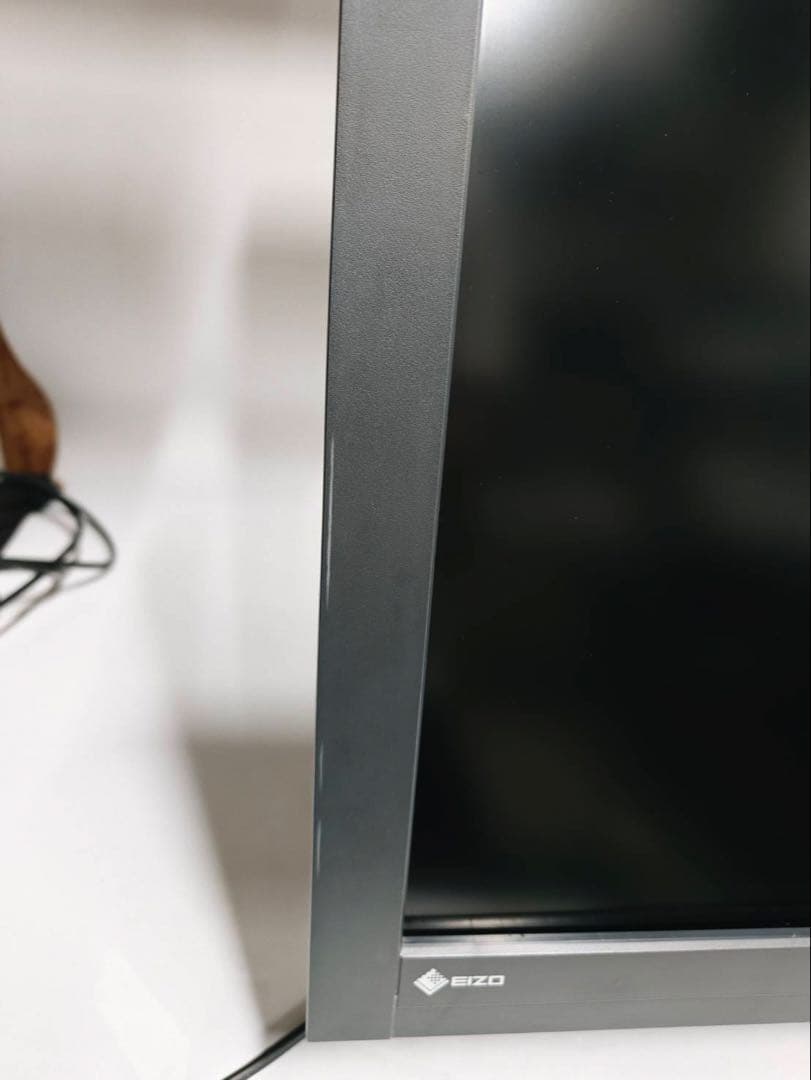 EIZO RadiForce RX440 液晶モニタ29.8 使用时间4179H