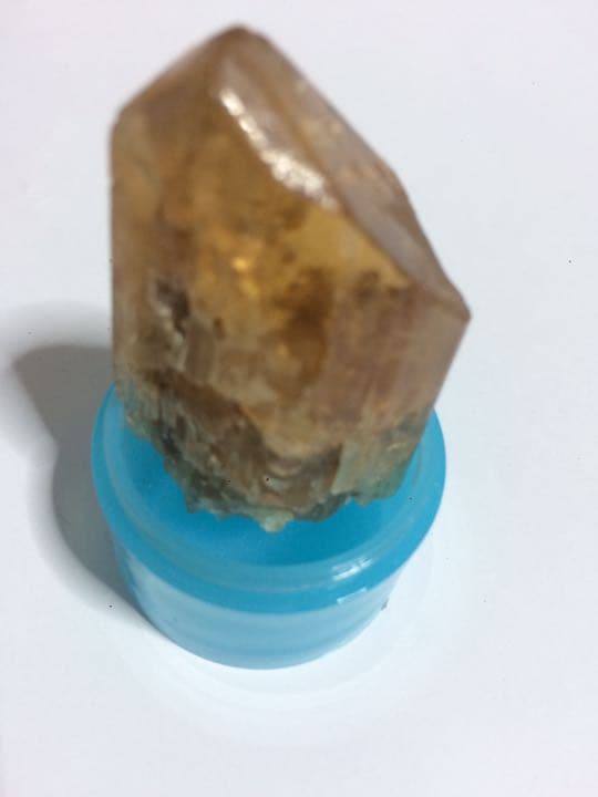 ゴールデンタンビュライト