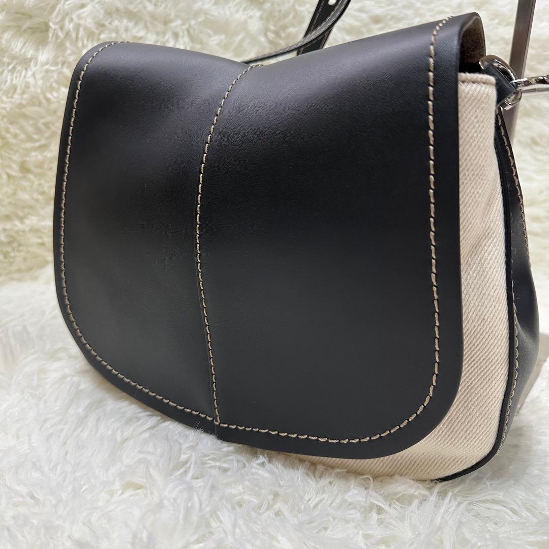 【美品】GIANNI CHIARINI ショルダーバッグ ブラック×ベージュ