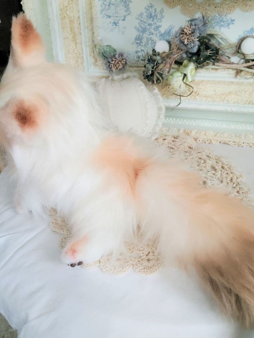 ベビー♡赤ちゃんきつね♡飼ってみませんか❤アートドール♡ぬいぐるみ♡