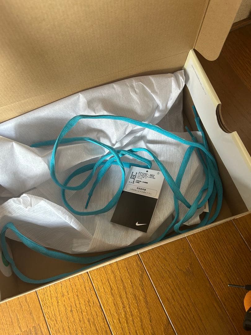 スケートボード Nike Dunk SB Low Electric/Safari