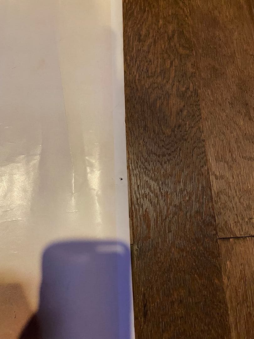 矢沢永吉 サングラス ポスター