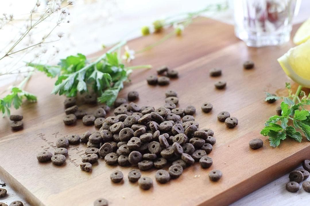 モグワン Mog Wan ドッグフード 1.8kg ２袋 無添加 人気 犬 安い