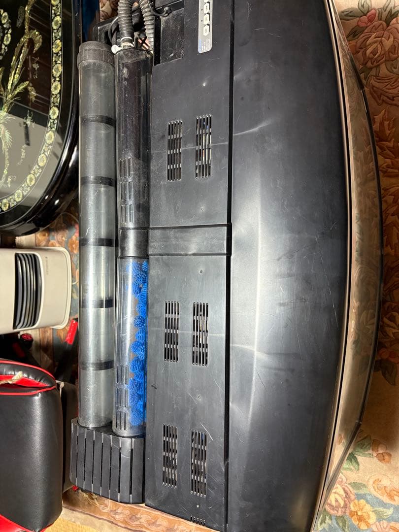 大きな水槽 蛍光灯照明付き