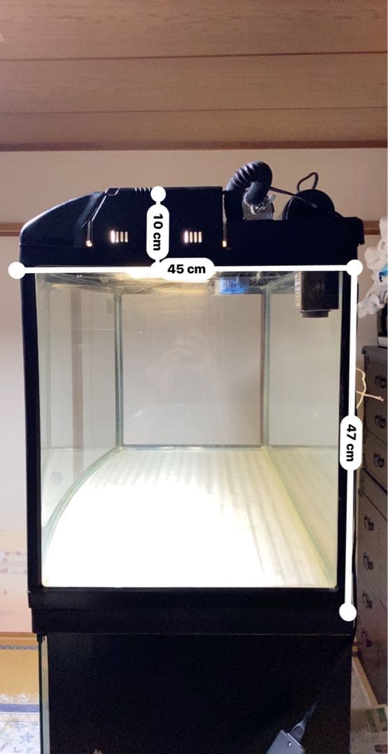 大きな水槽 蛍光灯照明付き