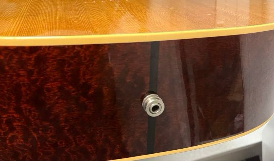 Taylor XXV-PR プレミアム25周年記念 エレアコ 世界限定500本