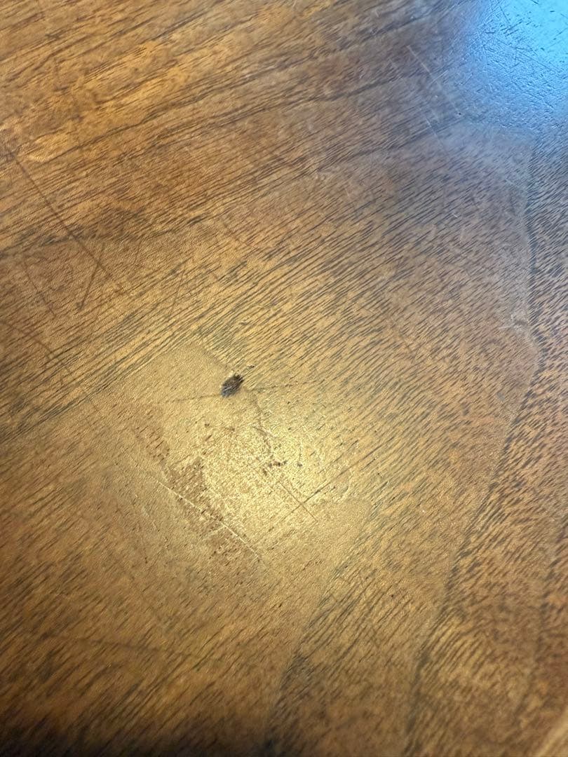 【発送3/25以降】アクタス REN ダイニングテーブル（送料込み）