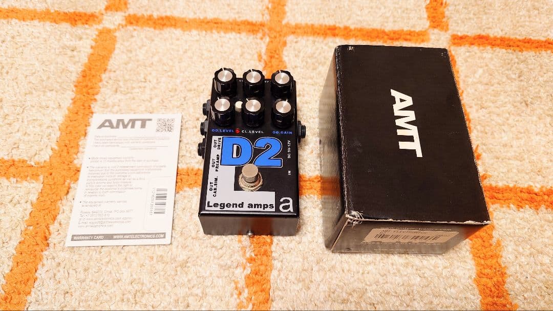 ギター AMT D2 electronics d2