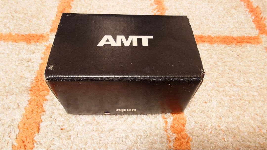 ギター AMT D2 electronics d2