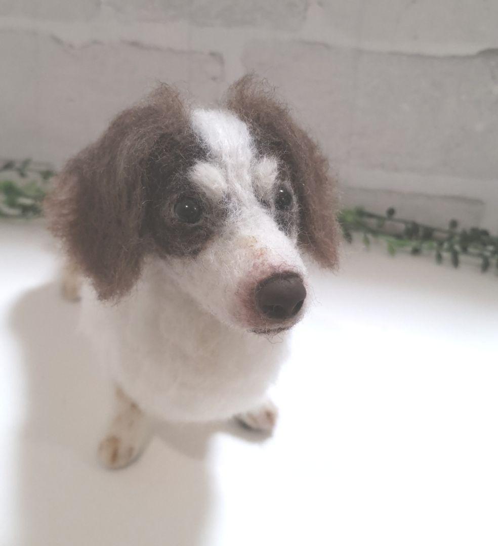 SASHA♡うちの子オーダー♡羊毛フェルト♪ハンドメイド☆