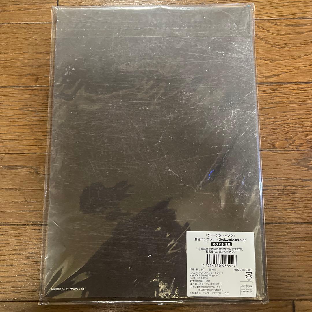 ヴァージンパンク 劇場パンフレット