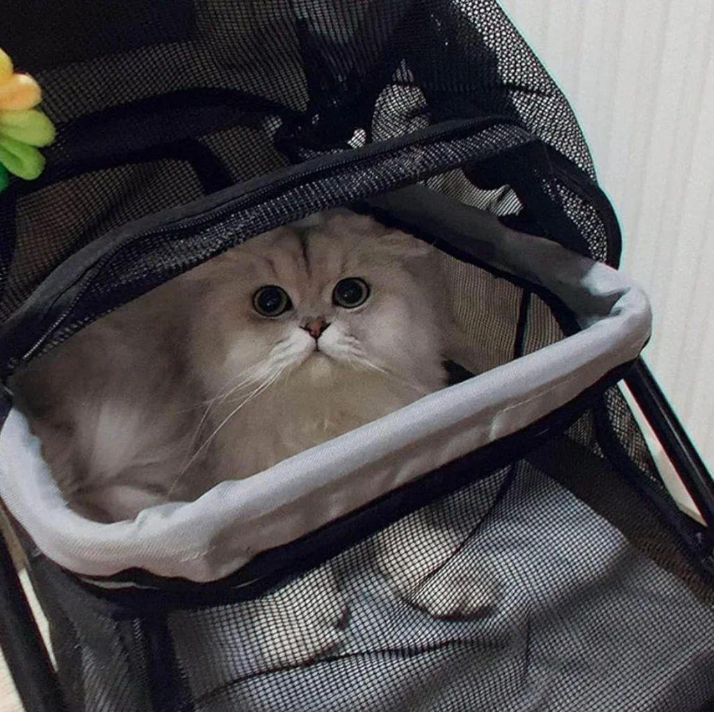 ペットカート グレー キャスター付き 犬用ベビーカー 組み立て簡単 軽量 通気性