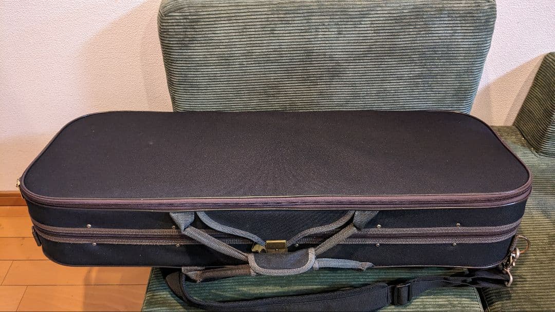 ローデリッヒ　ペゾルト PA701J 16inch ヴィオラ　40.6cm