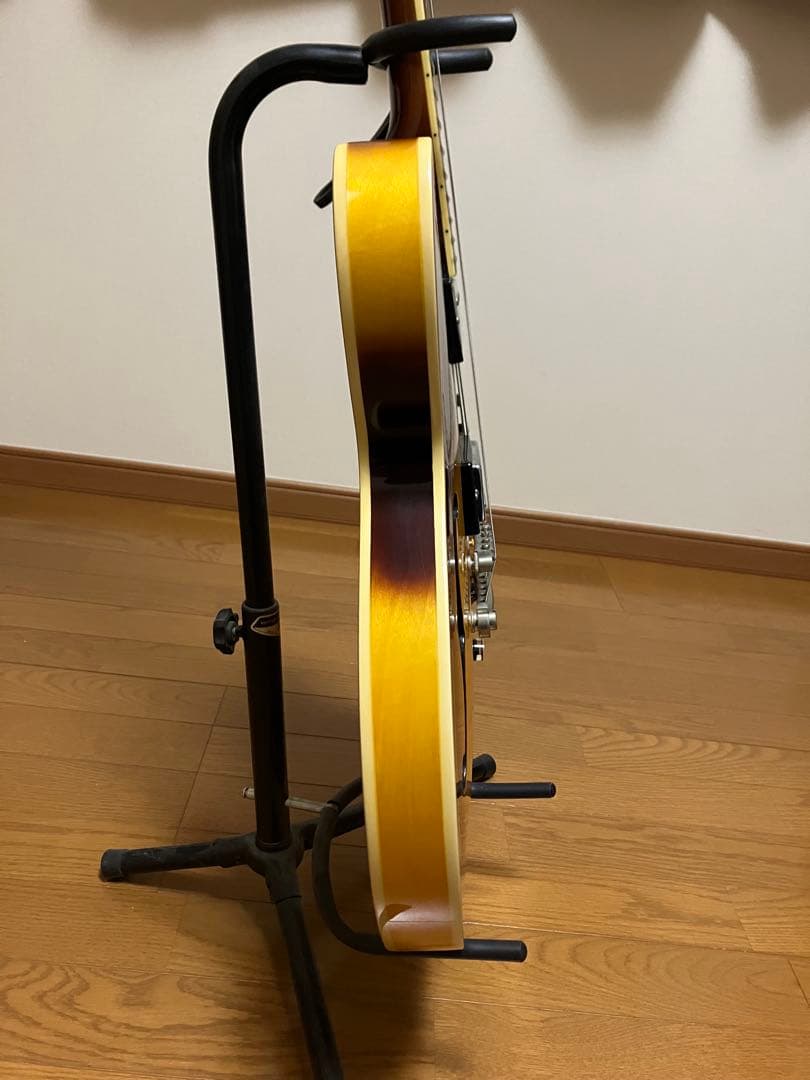 ぱぐじゅ様用Epiphone es-335