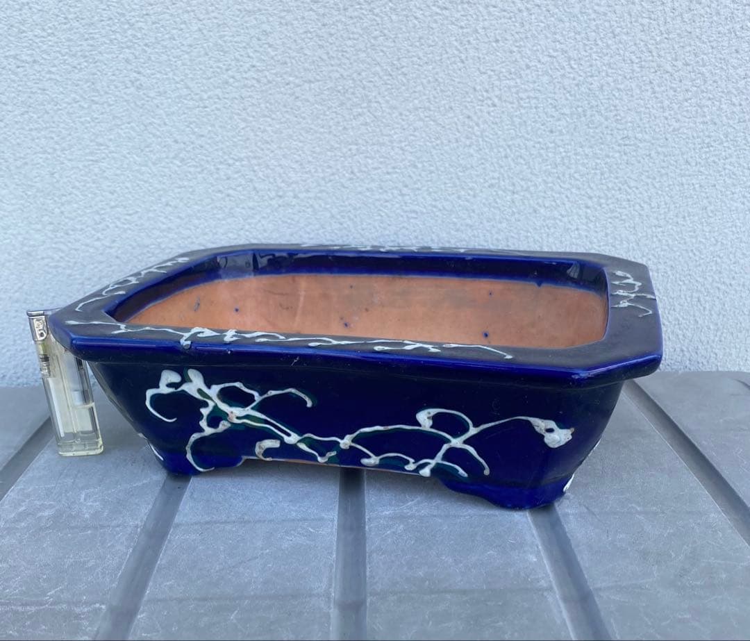 希少 瀬戸焼 瑠璃釉 骨董 盆栽鉢 盆栽 植木鉢