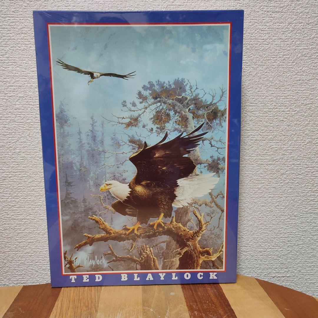 テッド・ブレイロック　ロッキーマウンテン　ジグソーパズル　1000ピース