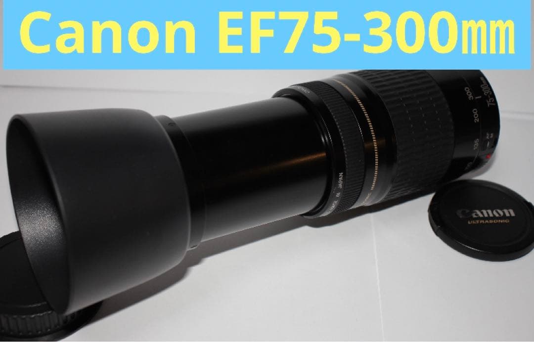 ☆フード付き☆望遠レンズ☆CANON EF 75-300㎜ F4-5.6☆