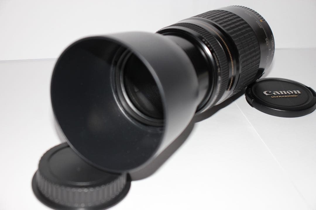 ☆フード付き☆望遠レンズ☆CANON EF 75-300㎜ F4-5.6☆