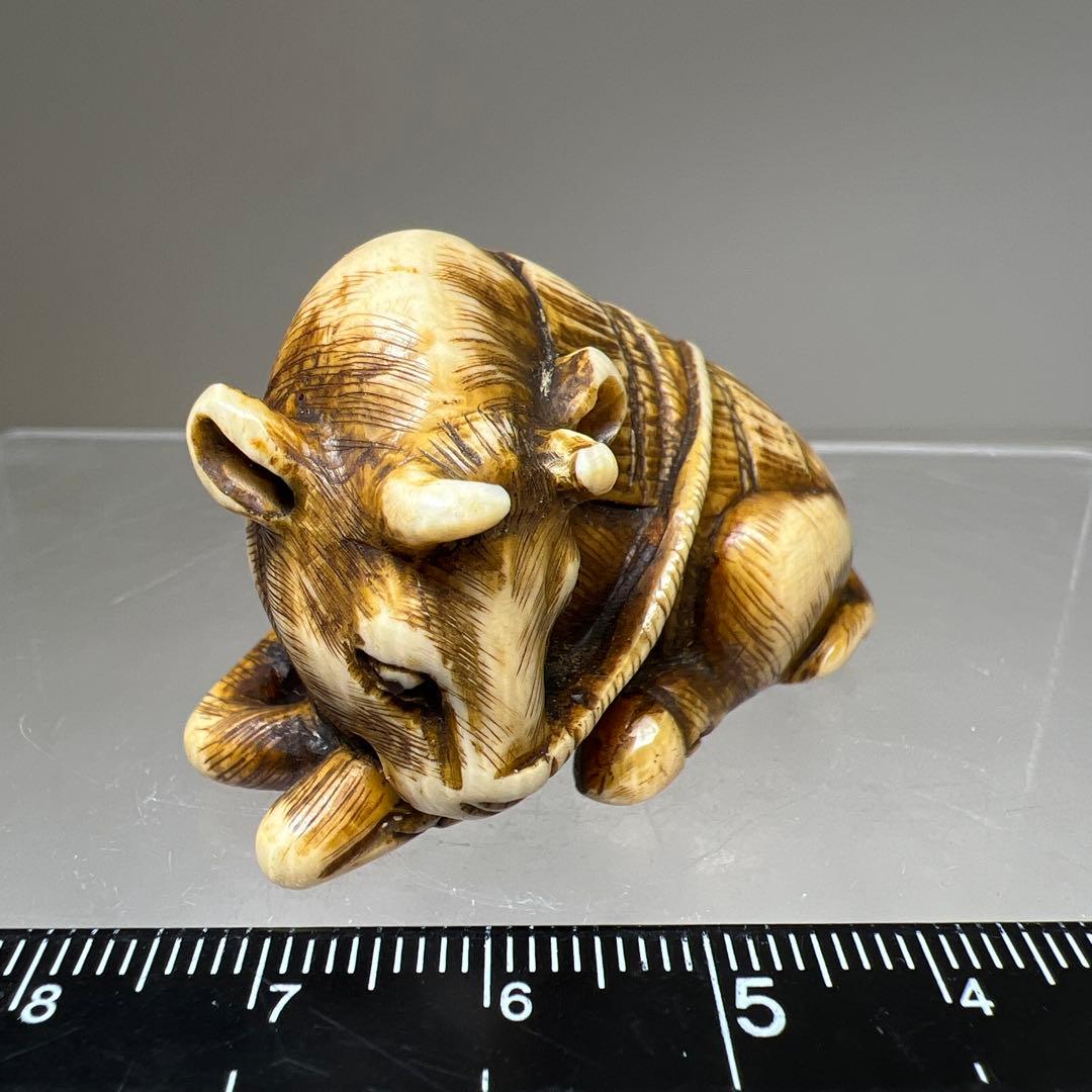 極上　喜久銘　牛根付　31g 東Y8-0113☆2F