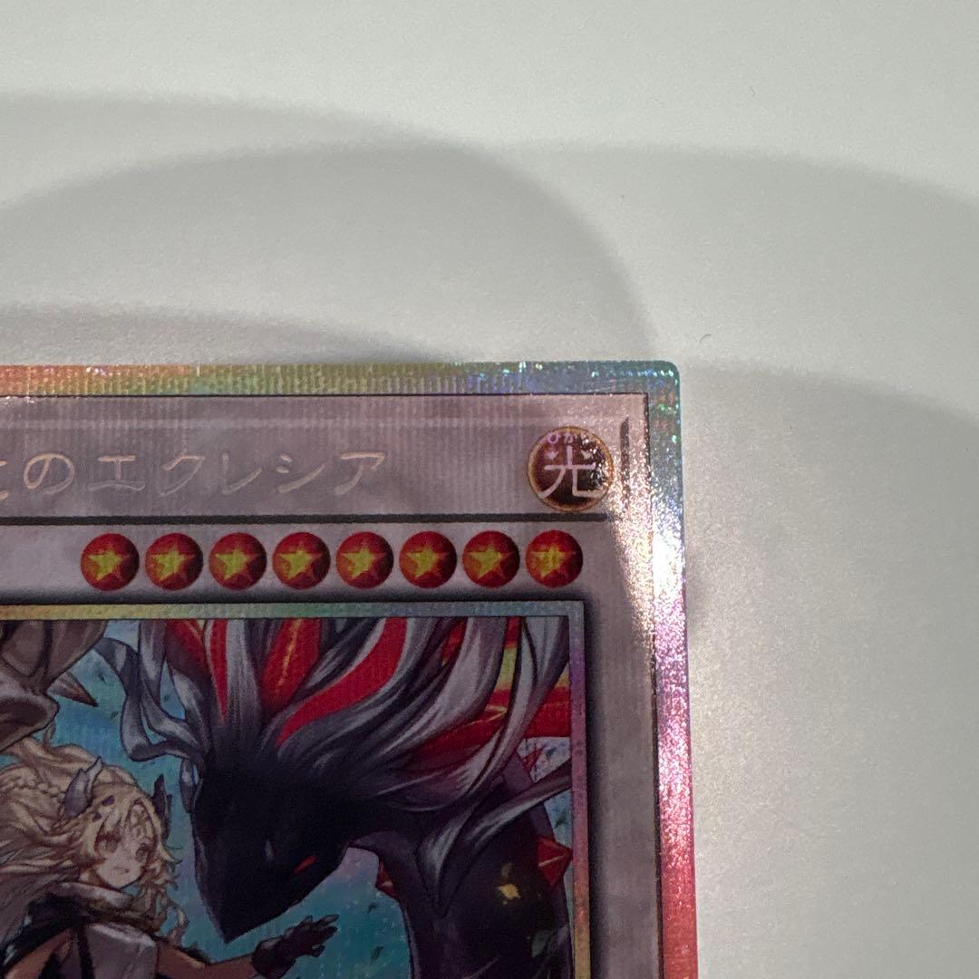 遊戯王　黒き竜のエクレシア　プリシク