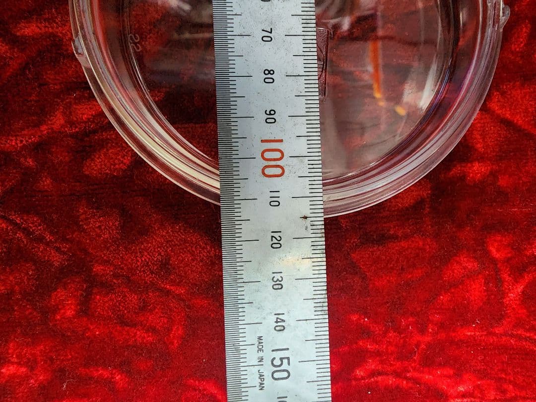 シビエ　レンズ　シャリー　ダックス